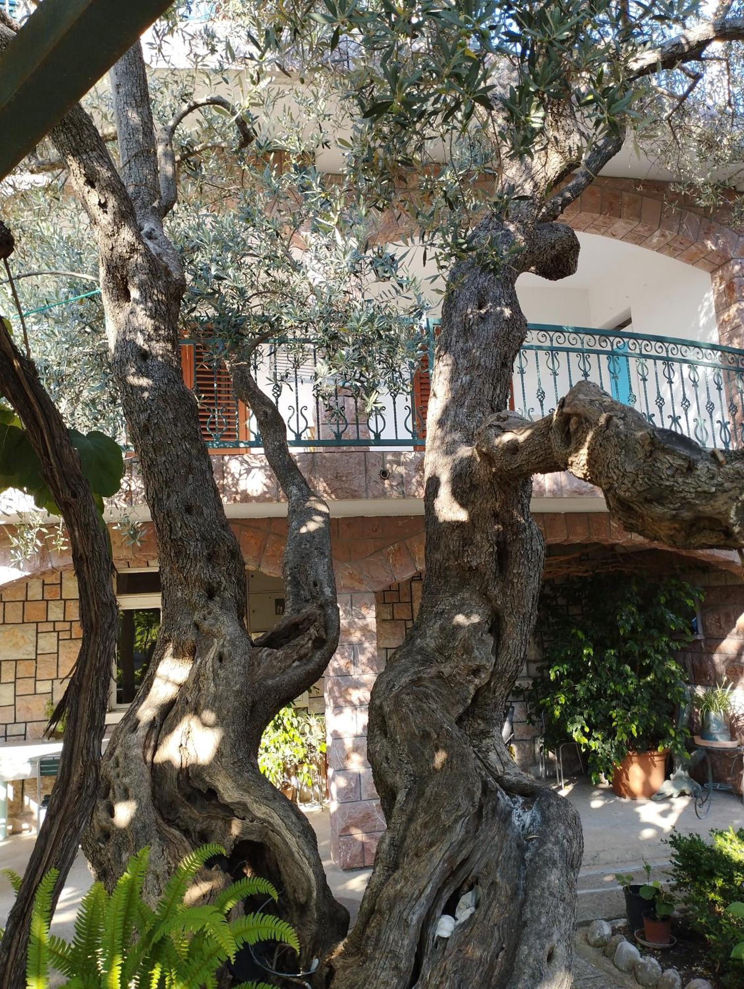 Zoro Apartments Sveti Stefan Δωμάτιο φωτογραφία