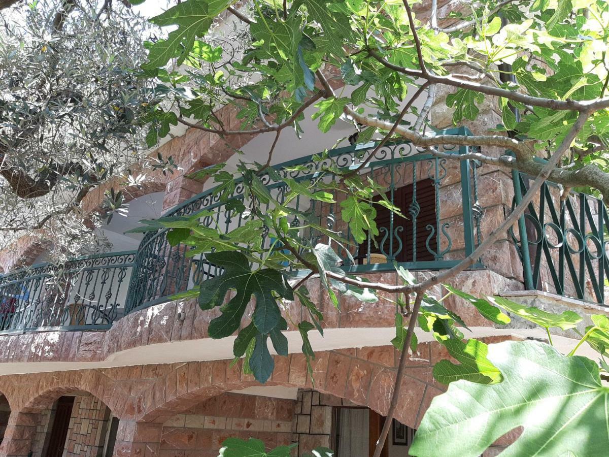 Zoro Apartments Sveti Stefan Εξωτερικό φωτογραφία